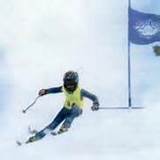 'View image details' http://tse1.mm.bing.net/th?&id=OIP.Maa403ccfa622c75972c1f4b1d8f0c3d1o0&w=181&h=180&c=0&pid=1.9&rs=0&p=0&r=0